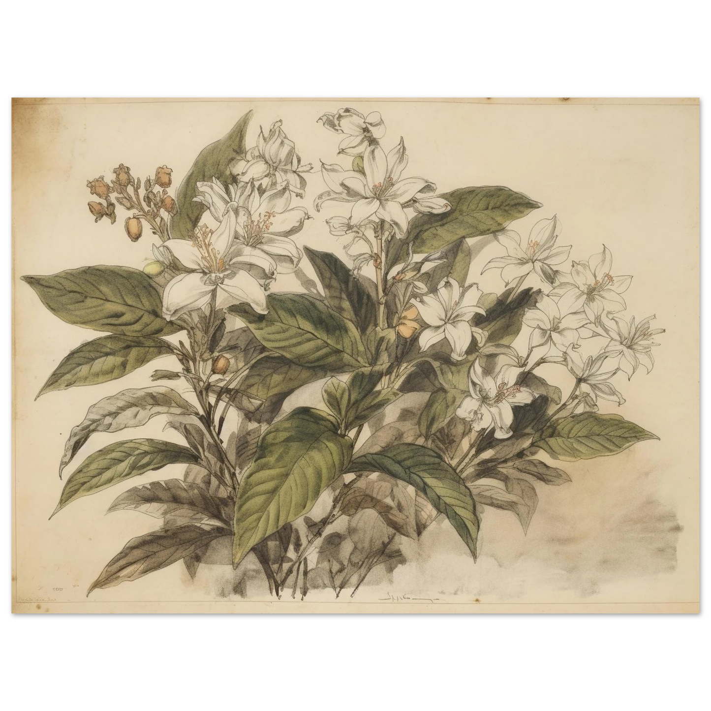 9b4a6953-e349-4108-88e0-fb5b6ece683a