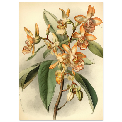 a2f3e172-252b-4239-9371-2725dbd6c41b