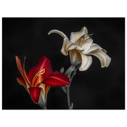 a5f49f59-32ce-4082-b1d7-9d3d2ac5a5a0