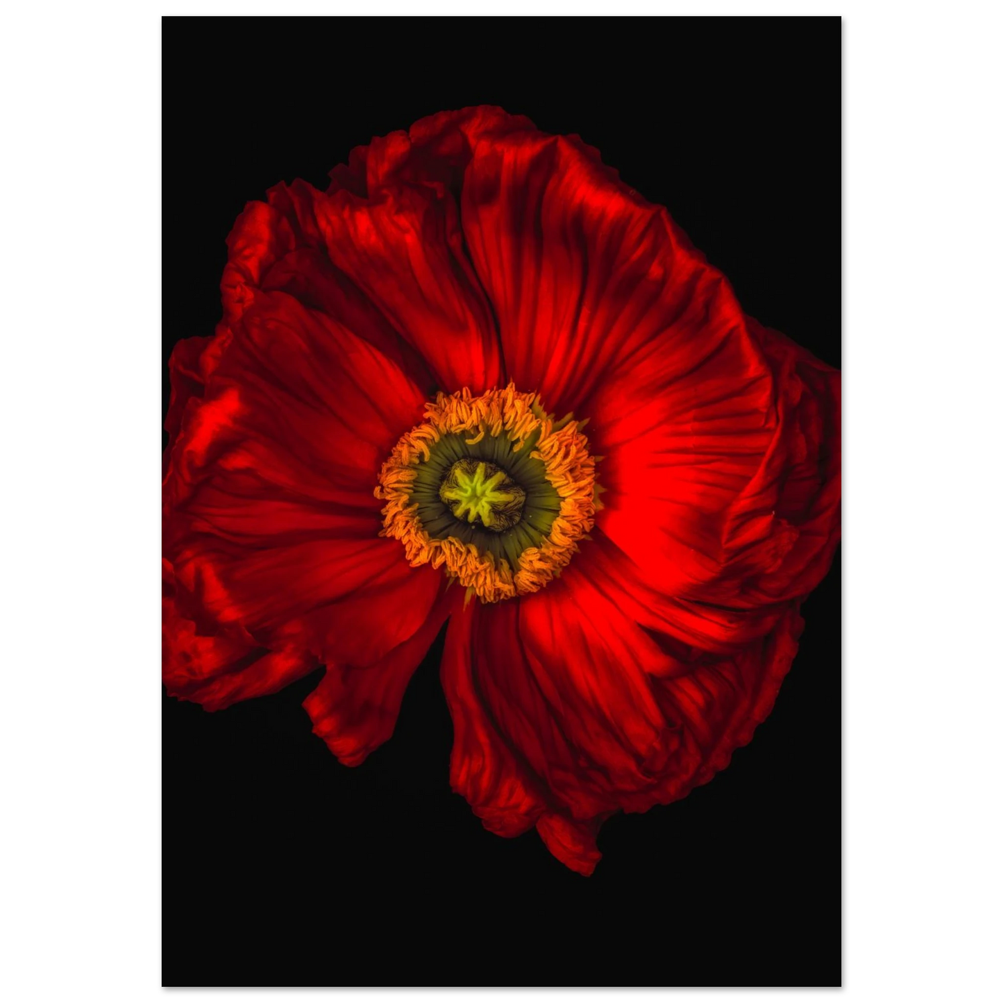 ac8f3594-8c3e-4859-9a89-3832a5273c39