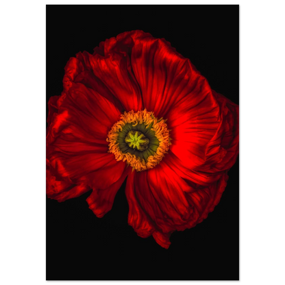 ac8f3594-8c3e-4859-9a89-3832a5273c39