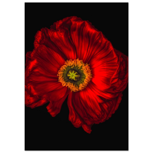 ac8f3594-8c3e-4859-9a89-3832a5273c39