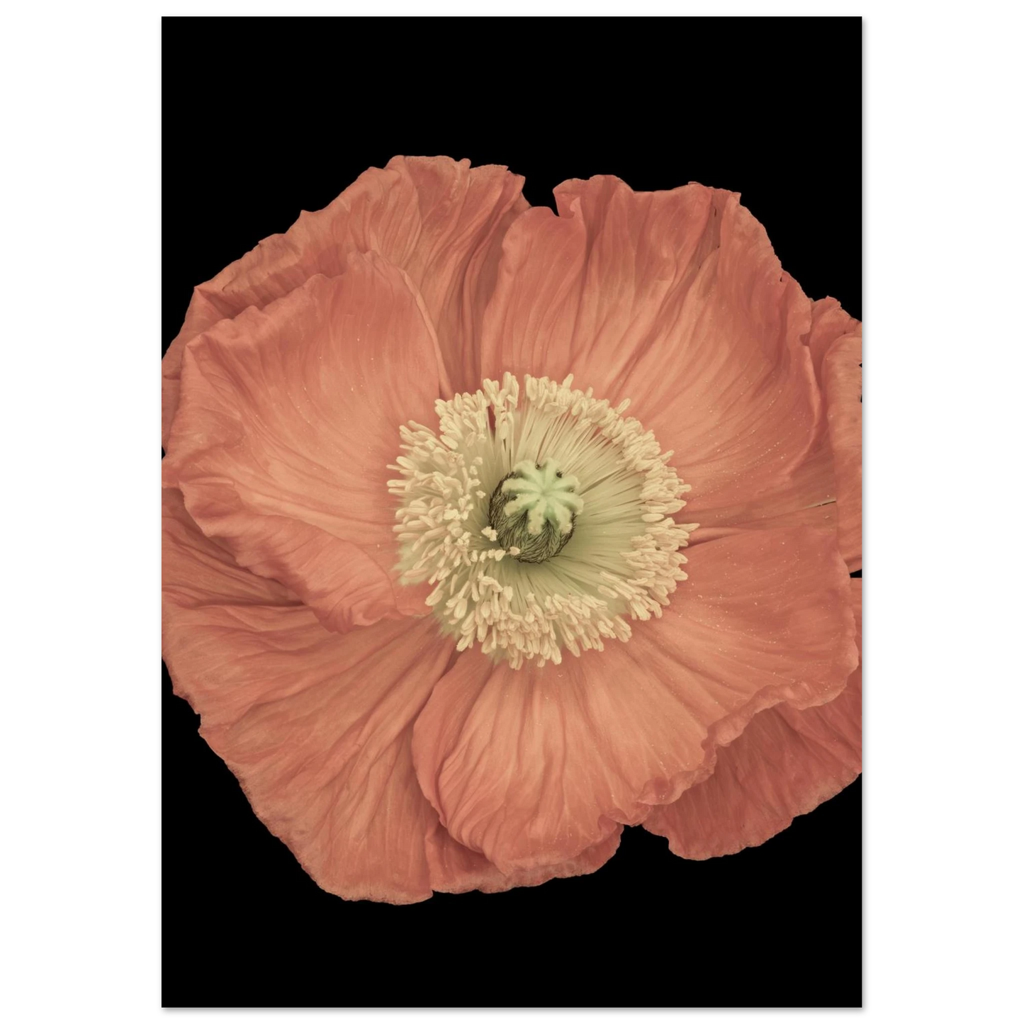 aca42906-b9bc-4047-910d-da2417982790