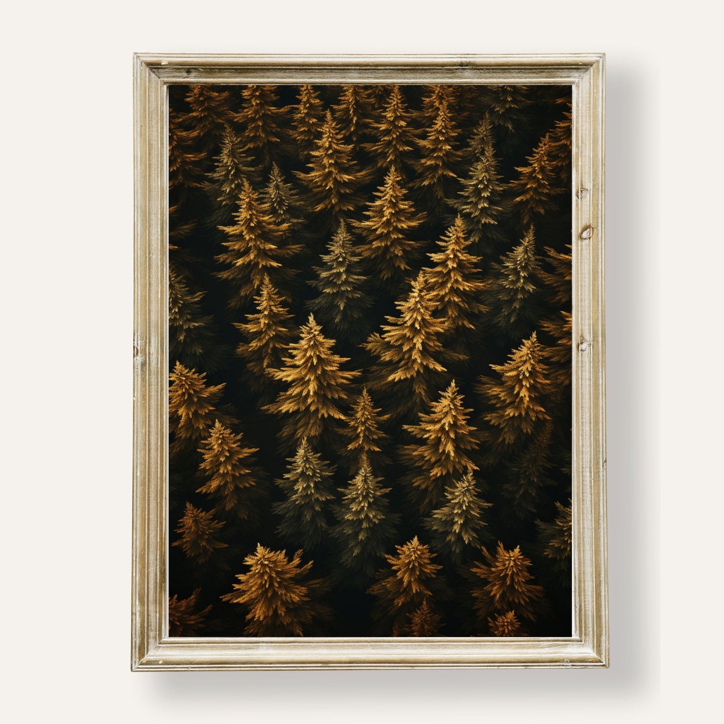 Aerial view of a golden autumn conifer forest captured in serene detail