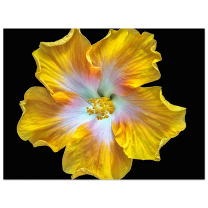 af767e73-eb6c-4bdd-a049-2acdbf74abb1