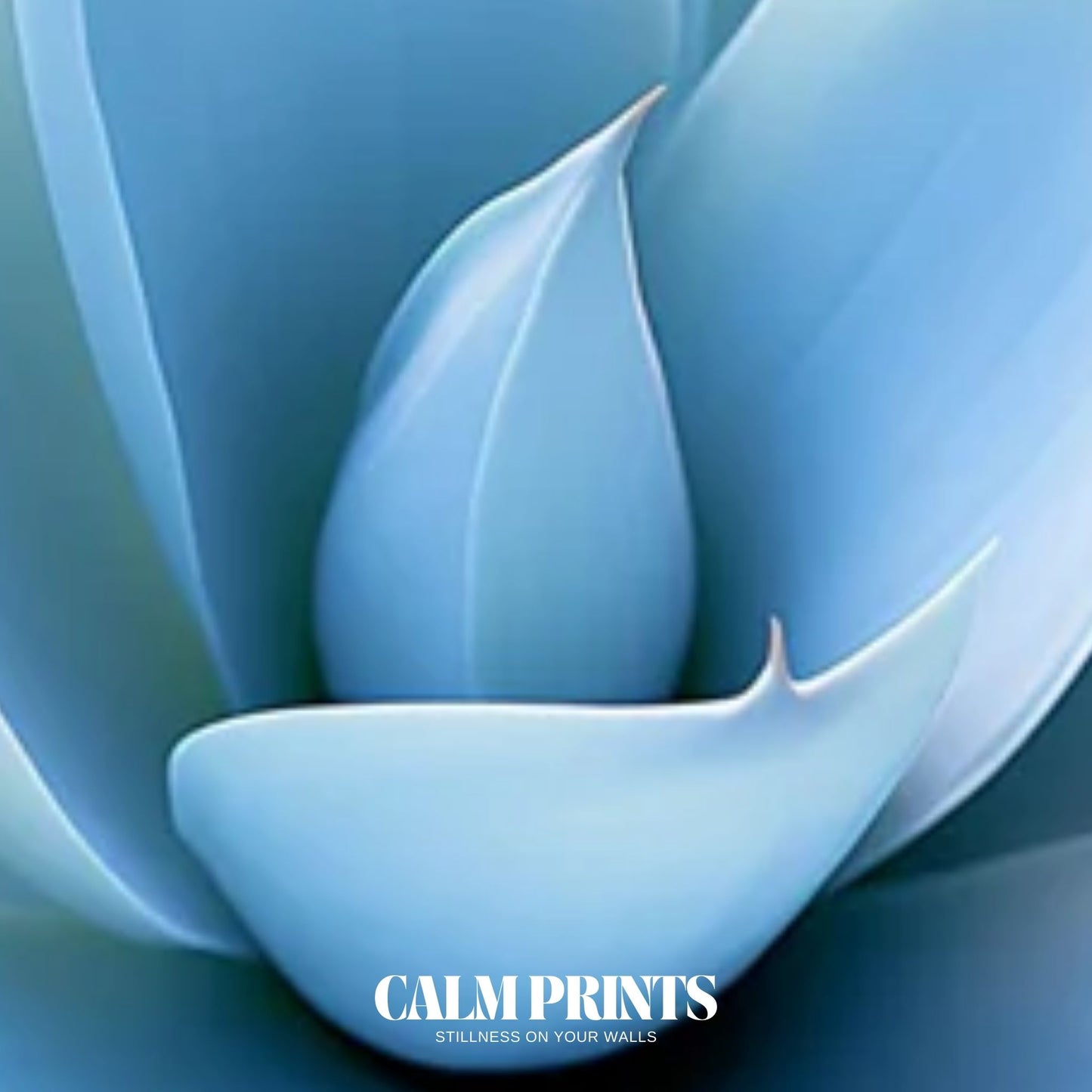 Artistic close-up of blue succulent with elegant natural textures