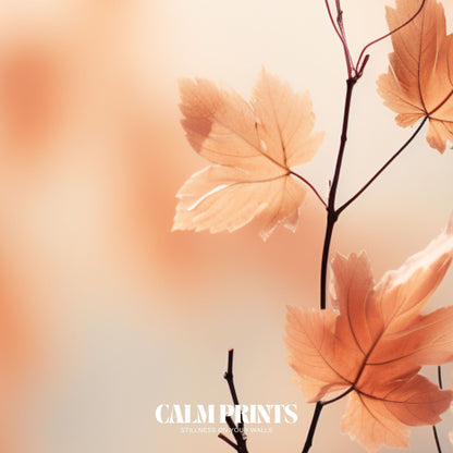 Photographic artwork of autumn’s natural detail and quiet beauty