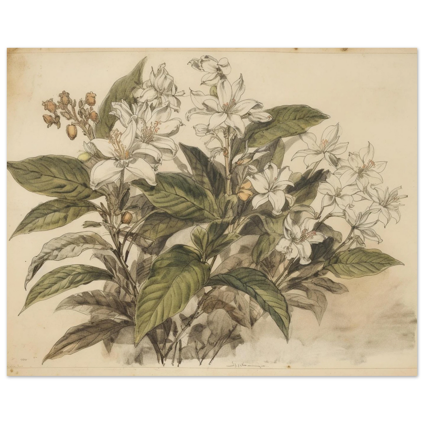 b01b5398-49ce-4168-9065-538330564481