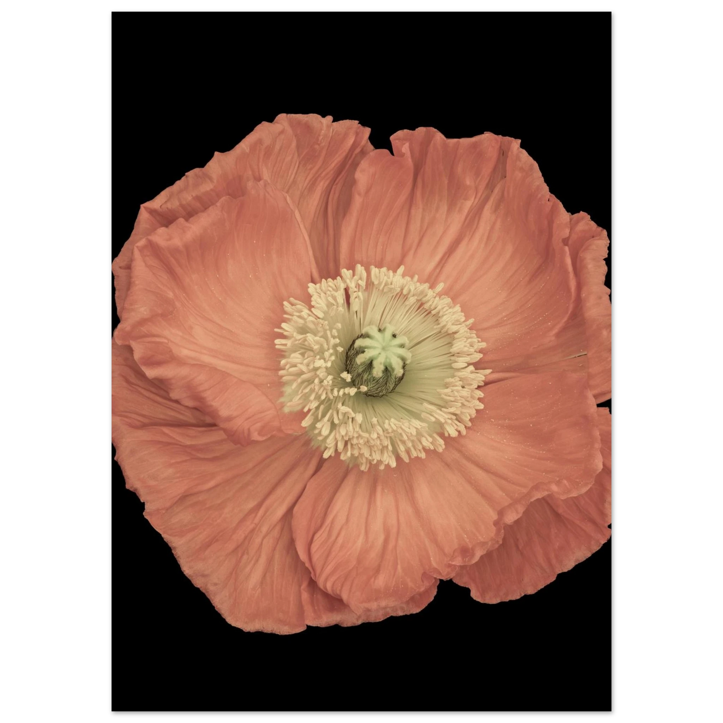 b2497630-eac0-4988-a0ae-1c1fd3d764c5