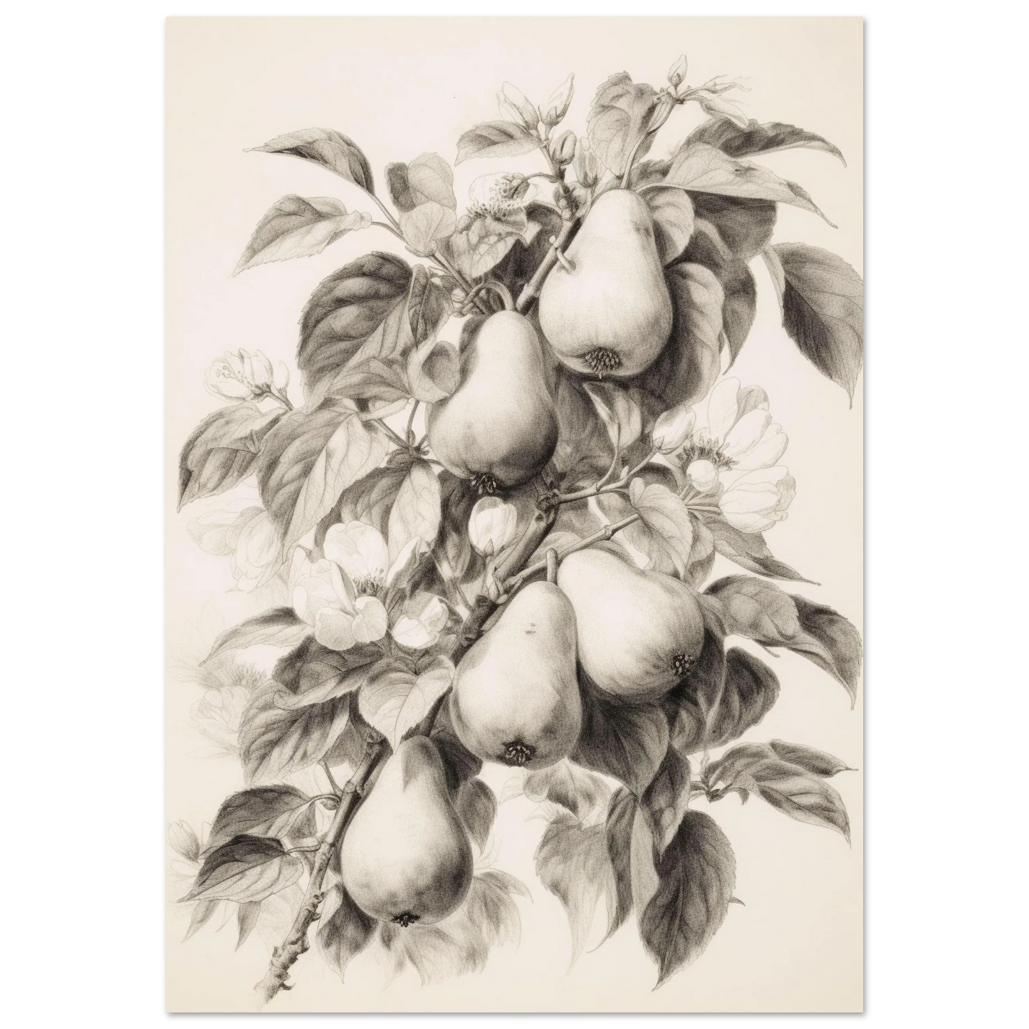 b29e33d4-bd7b-4681-bef6-7263569ce635