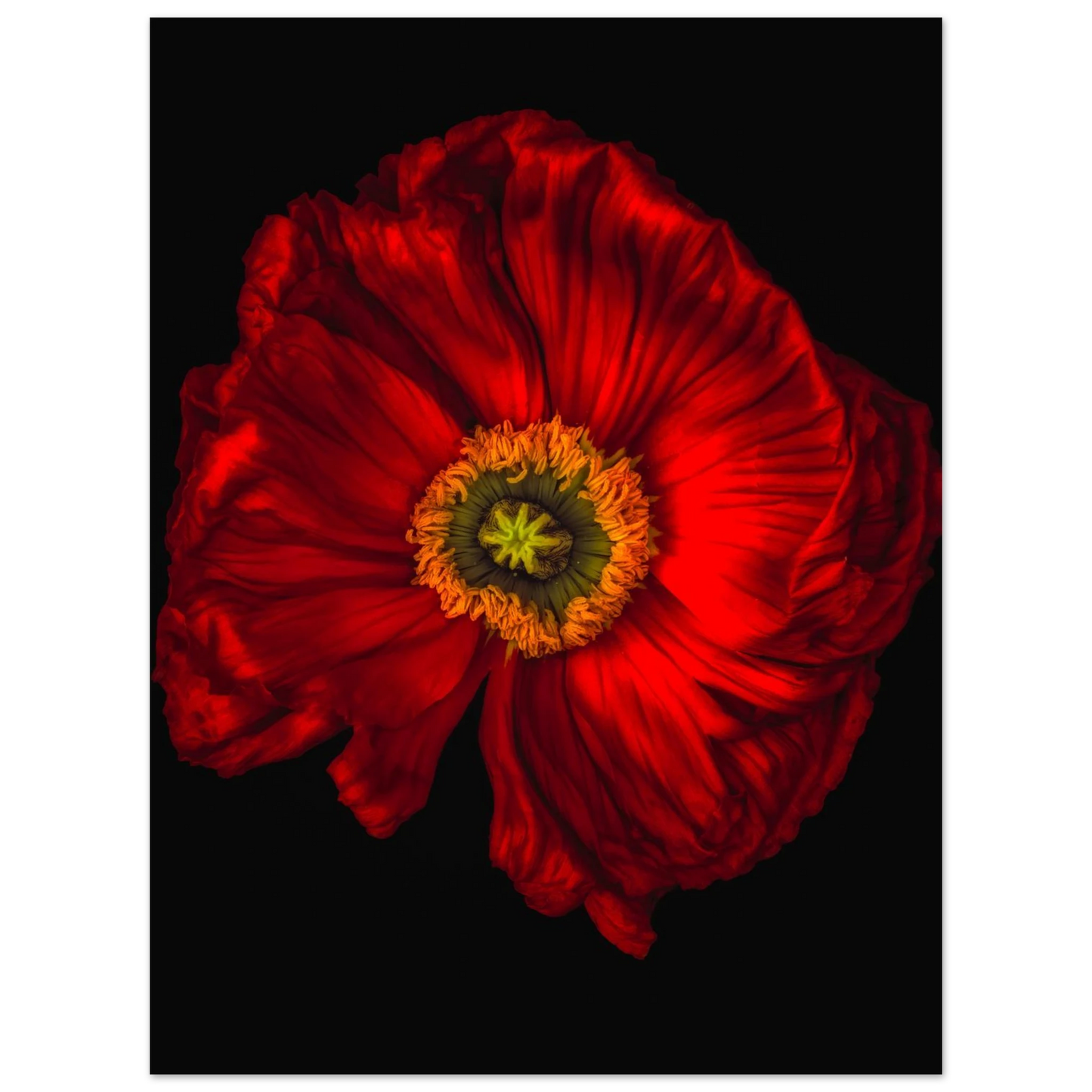 b49009b0-499c-4a22-a77d-c3304ebf3b86