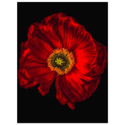 b49009b0-499c-4a22-a77d-c3304ebf3b86