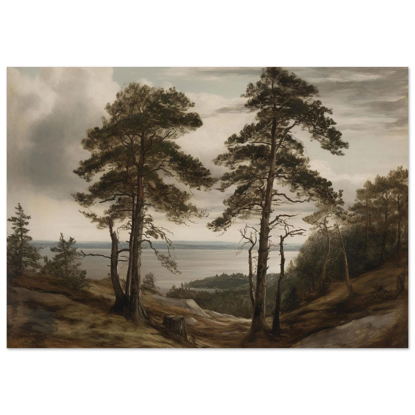 b6558347-f742-4450-abd7-714746cfc3ba