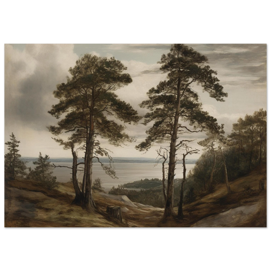 b6558347-f742-4450-abd7-714746cfc3ba