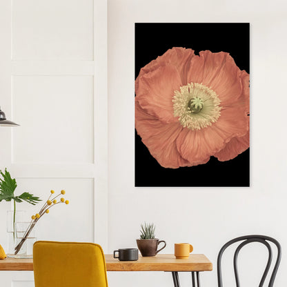 b705c706-46e3-4e2e-b064-b24324dc9b42