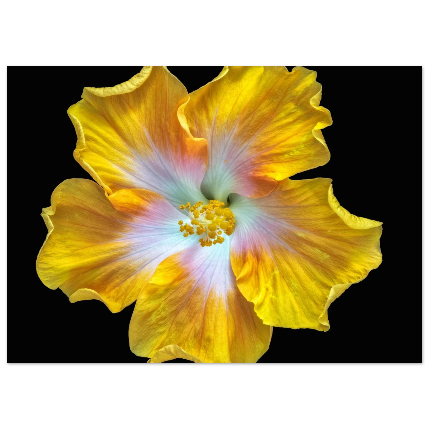 b86a7bae-4d53-43e7-99cf-f1138c1cc5c1