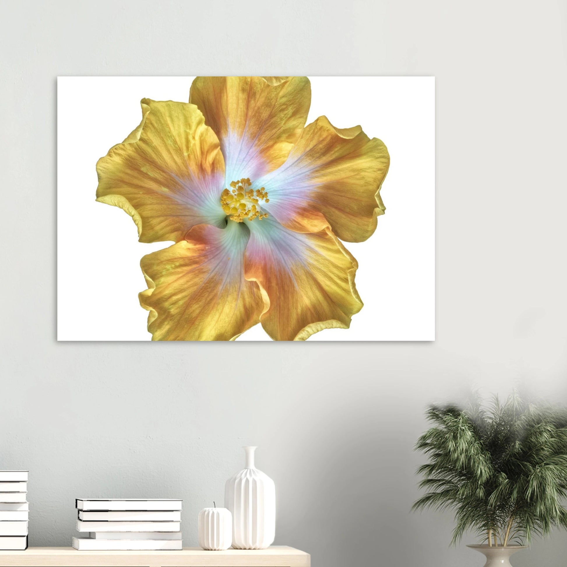 b954fe5f-13f4-44f7-a452-0b024e8ea889