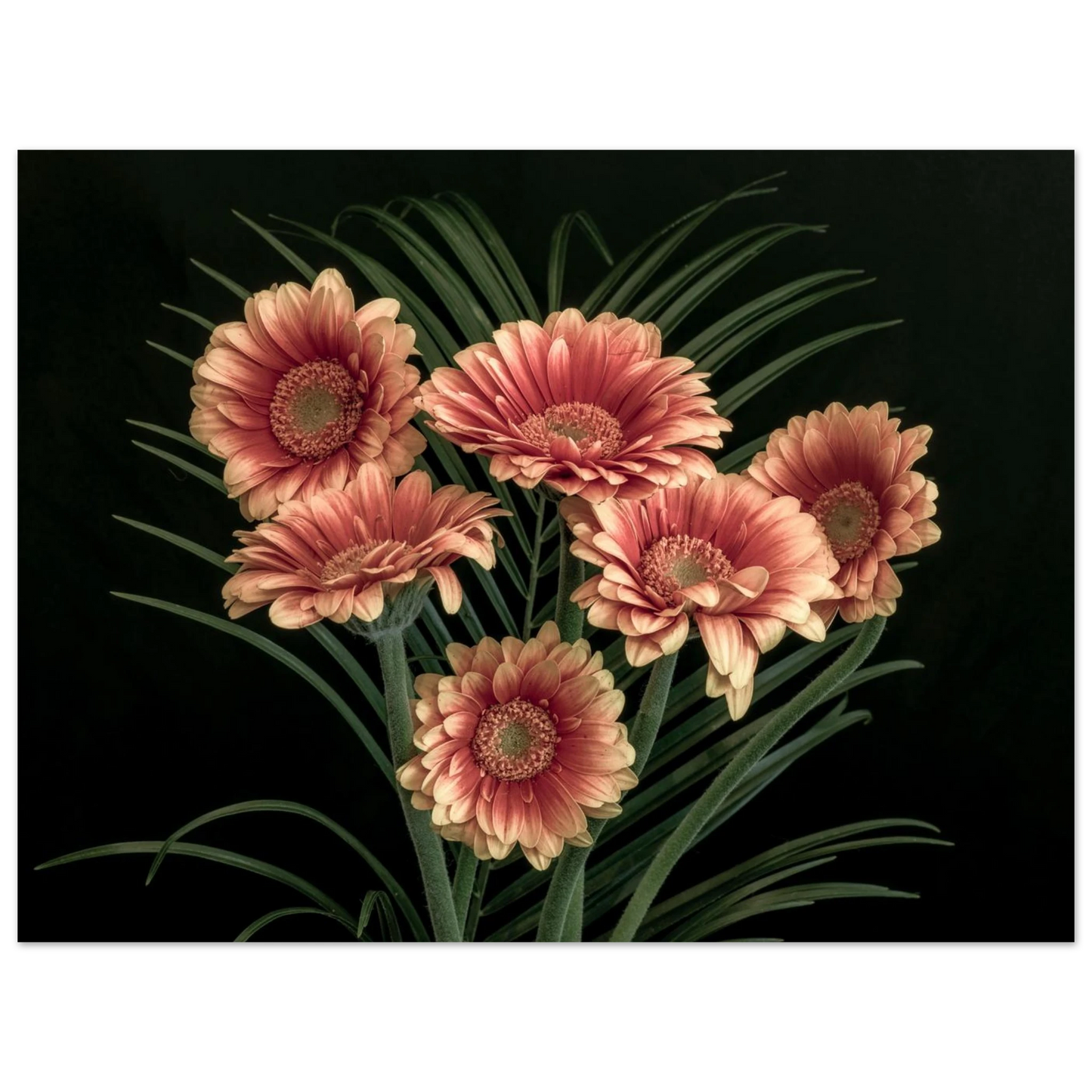 bbc06358-cb91-4351-ac62-cff7a8c3b5ba