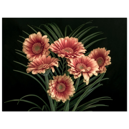 bbc06358-cb91-4351-ac62-cff7a8c3b5ba