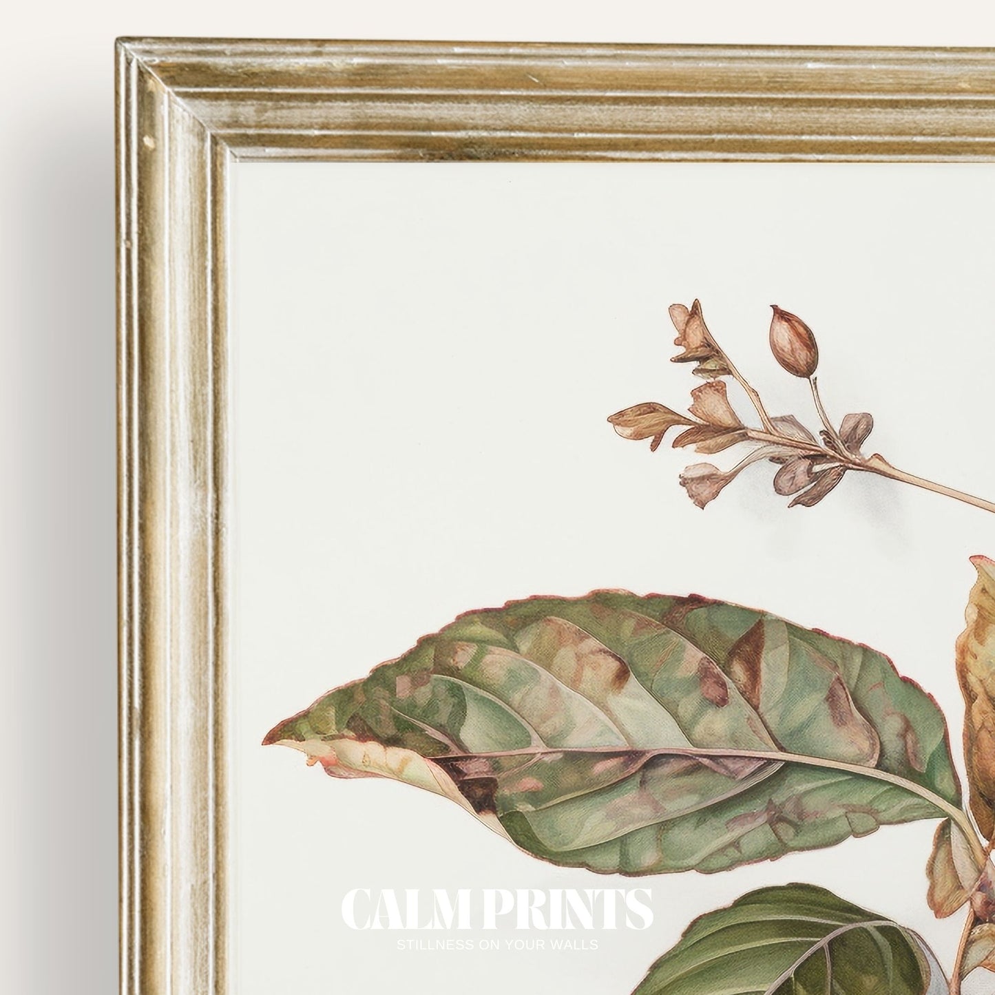 Detailed botanical sketch of berries in a naturalistic composition
