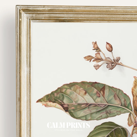 Detailed botanical sketch of berries in a naturalistic composition
