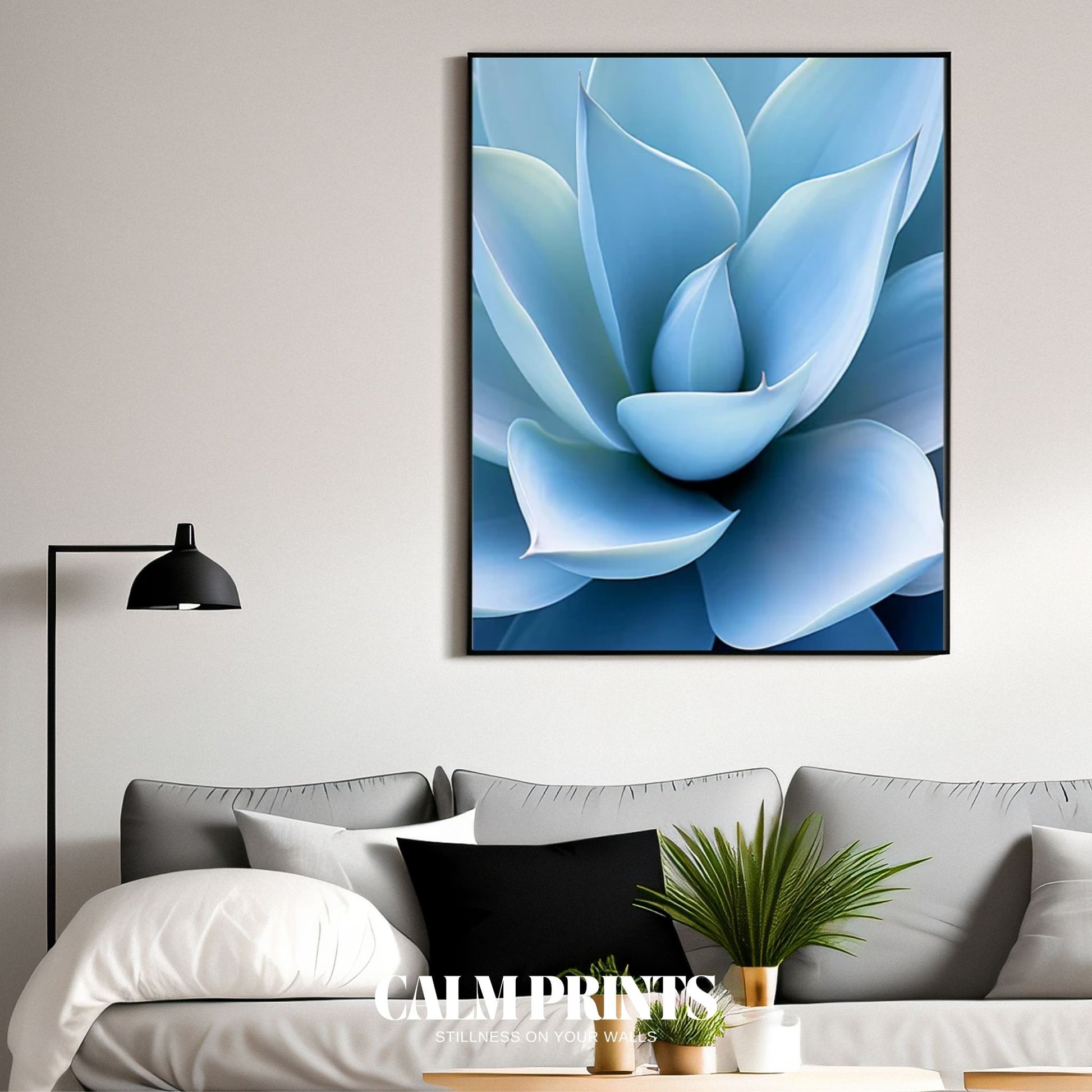 Photographic poster of a blue succulent in crisp close-up detail