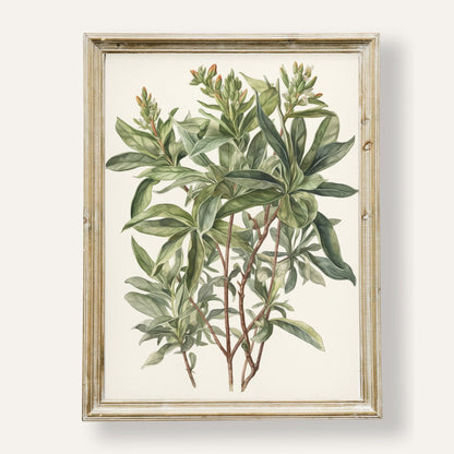 Lush botanical garden filled with vibrant greenery and floral charm
