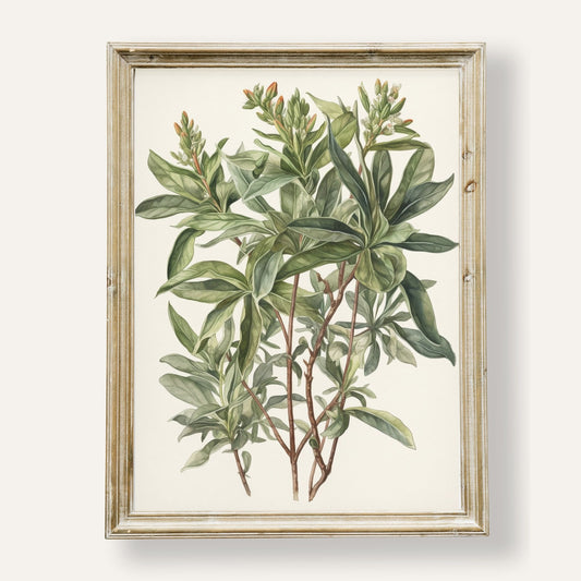 Lush botanical garden filled with vibrant greenery and floral charm
