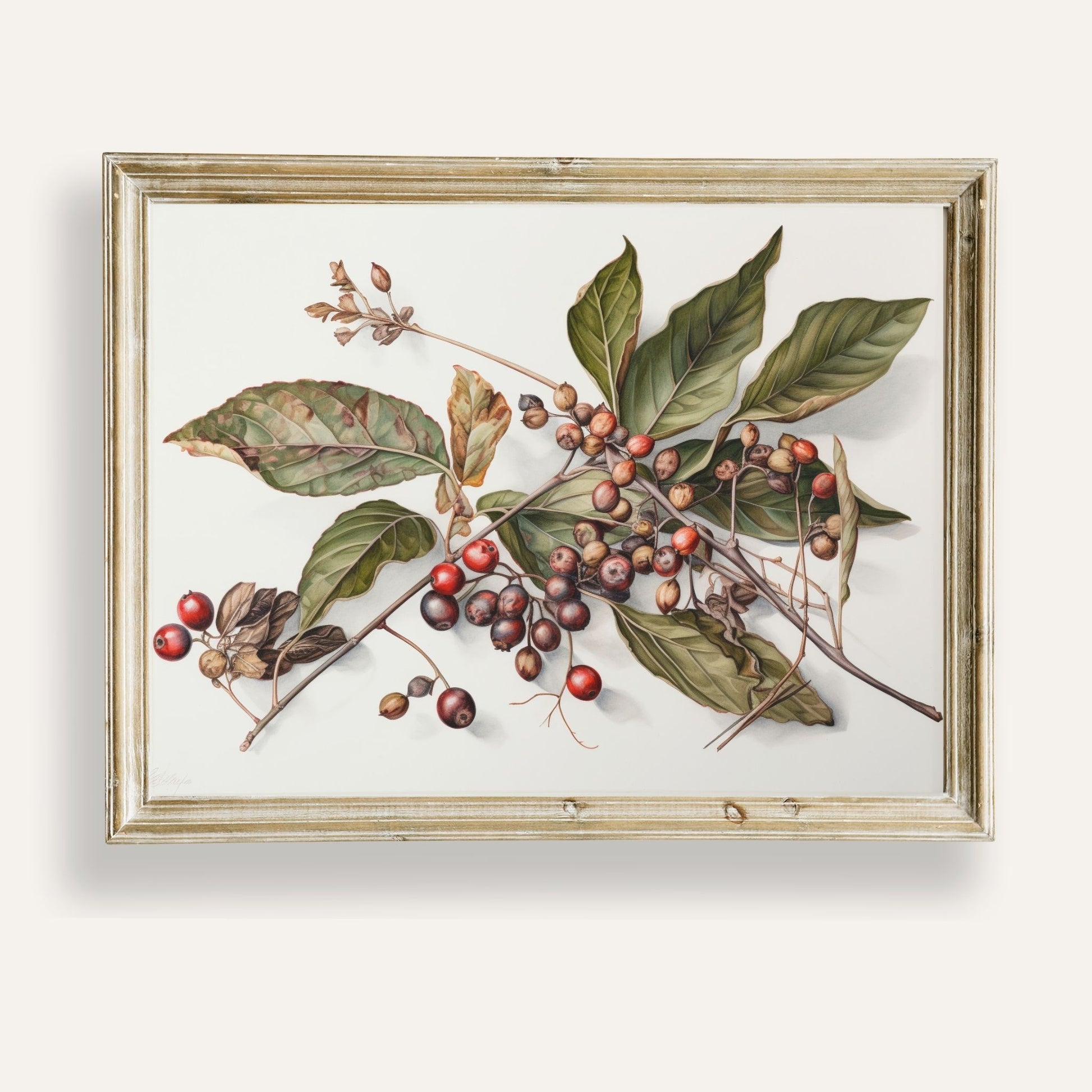 Elegant botanical illustration of assorted berries in vintage style
