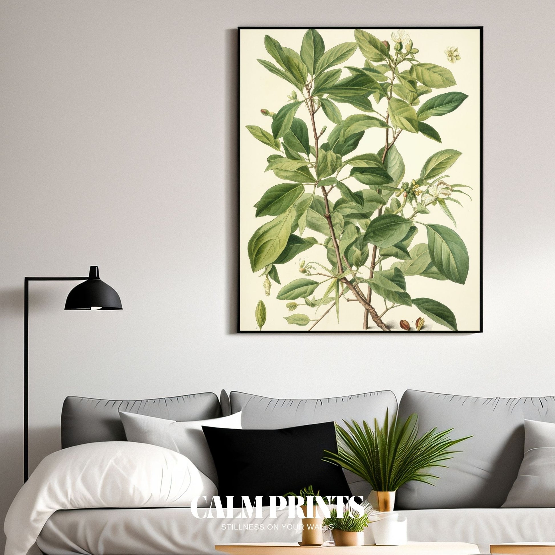 Classic botanical sketch of sea buckthorn foliage with elegant lines
