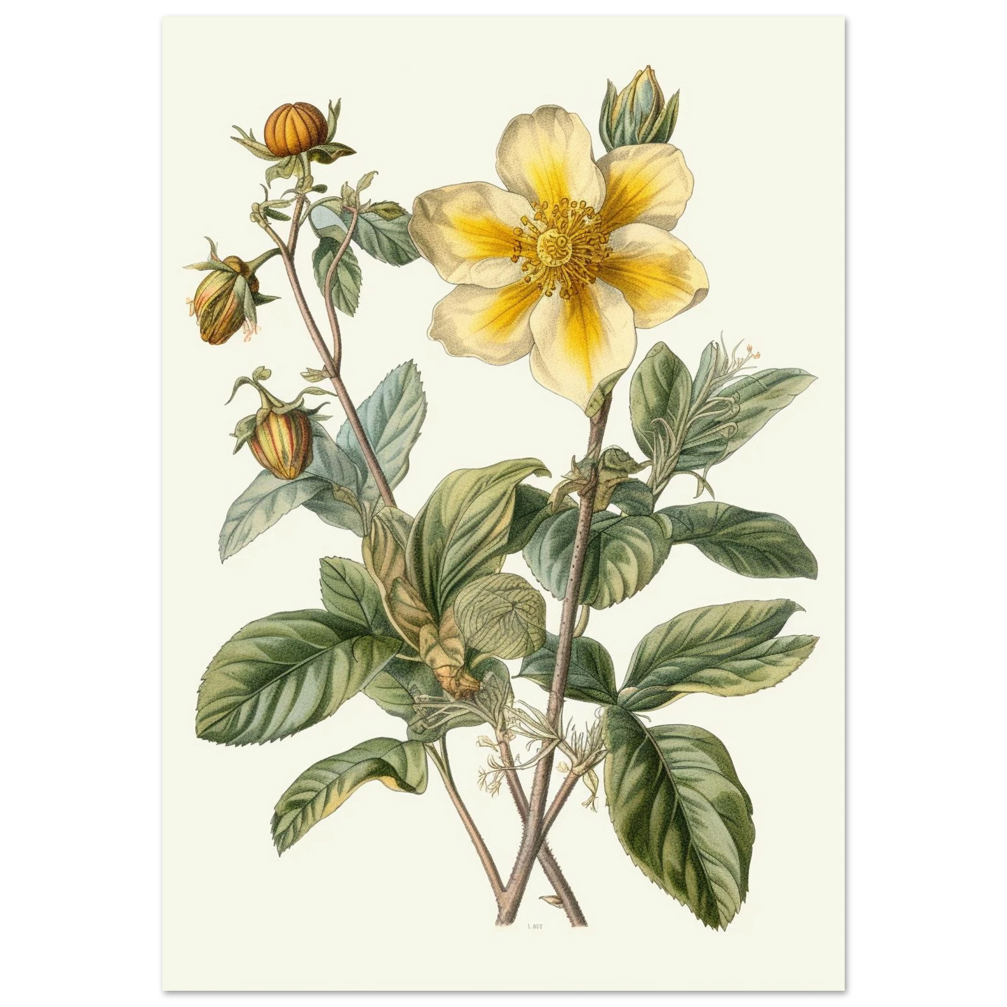 c1ca7773-6029-42cc-8163-efabea4ba125