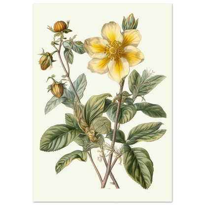 c1ca7773-6029-42cc-8163-efabea4ba125