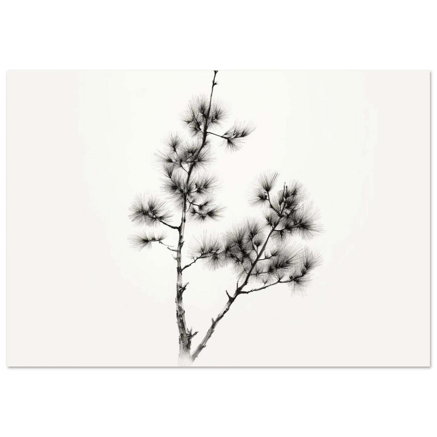 c2c10951-cce4-4d0e-8c7e-d7de13a3fe5d