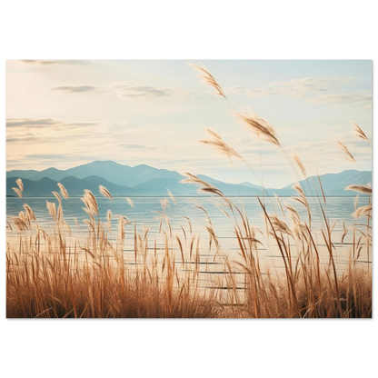 c3ed51da-69d4-4235-bb9f-6cc997b7d69e