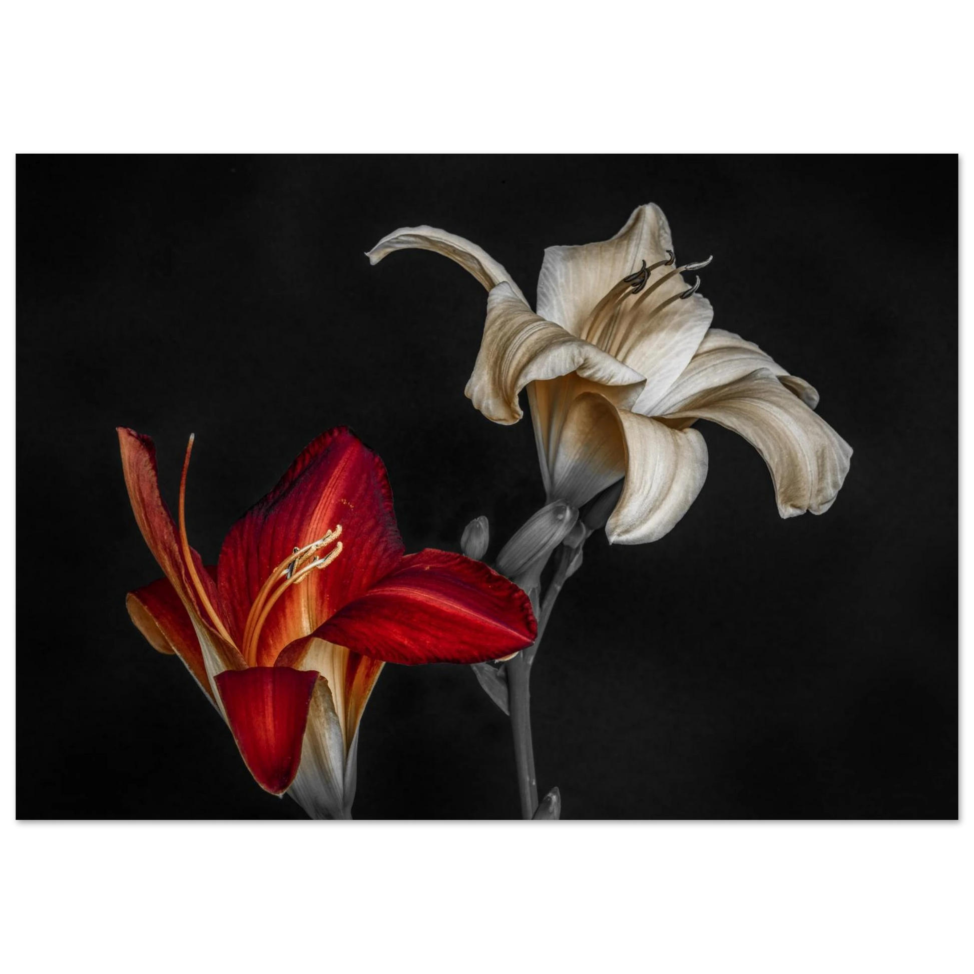 c45864b7-fe03-4842-9162-4bac32a984a0