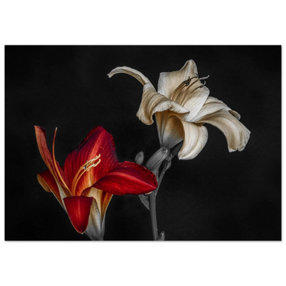 c45864b7-fe03-4842-9162-4bac32a984a0