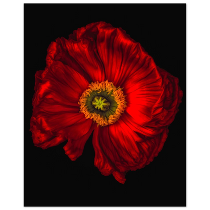 c4edbc15-4733-4104-b662-fda9024a8860