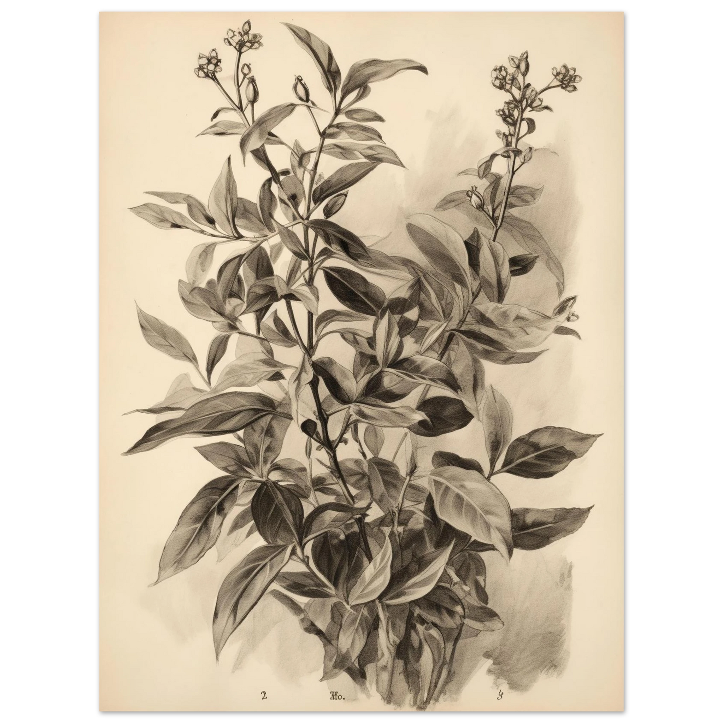 c5016124-7737-4c3d-86aa-4401bda21b13