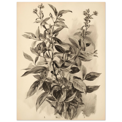 c5016124-7737-4c3d-86aa-4401bda21b13