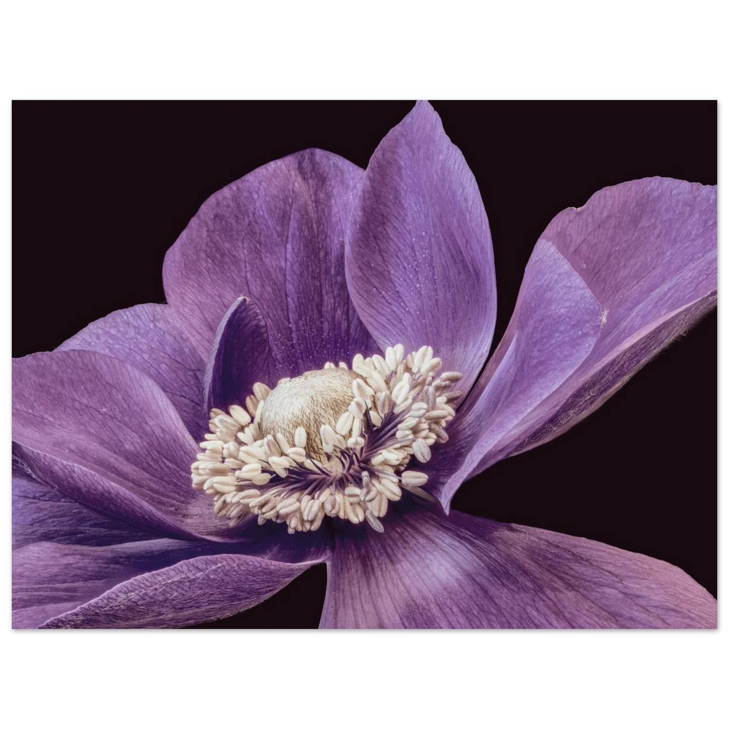 c529e85d-bcf7-446d-b841-a8c67890092e