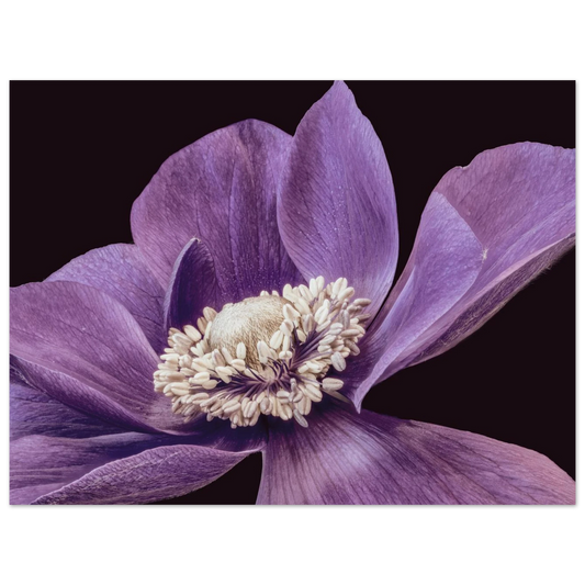 c529e85d-bcf7-446d-b841-a8c67890092e