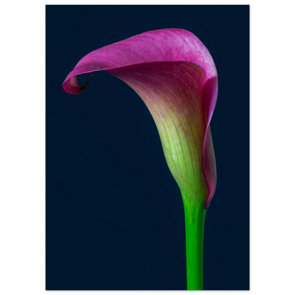 c6b54685-5fa8-42c0-83b2-f786baf832aa