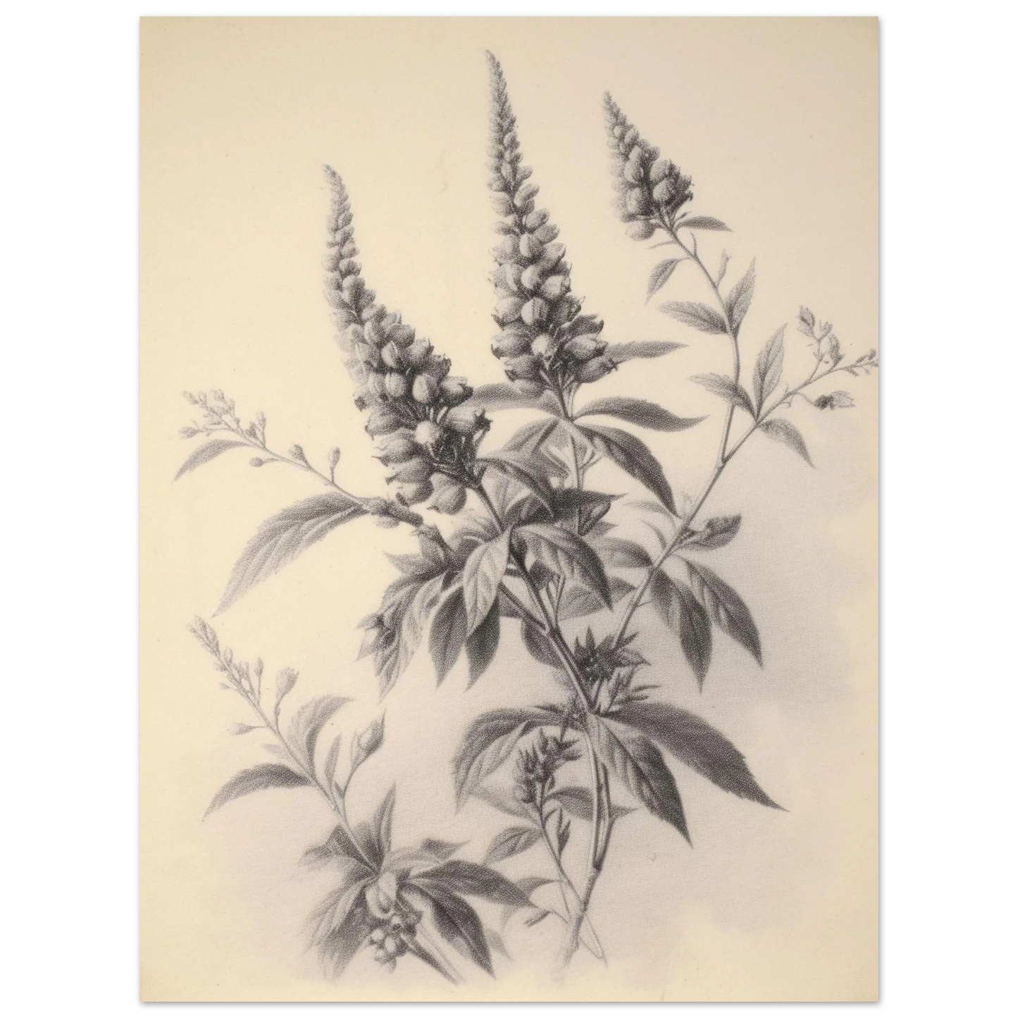 c96e31f0-e446-4081-93b0-112f3b186149