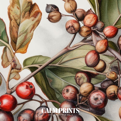 Classic botanical sketch showing clusters of ripe seasonal berries
