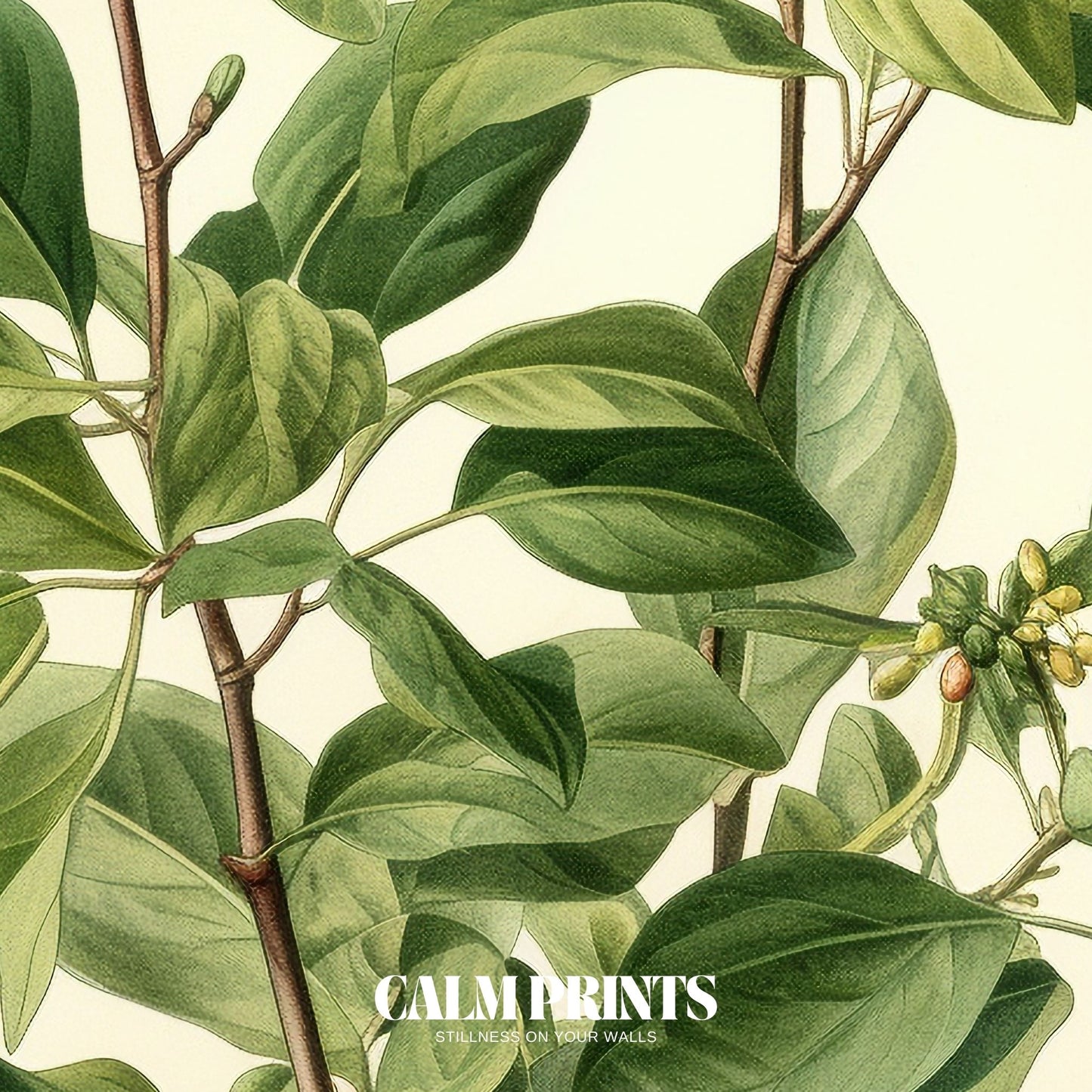 Classic botanical art print with lush leaves and subtle shading
