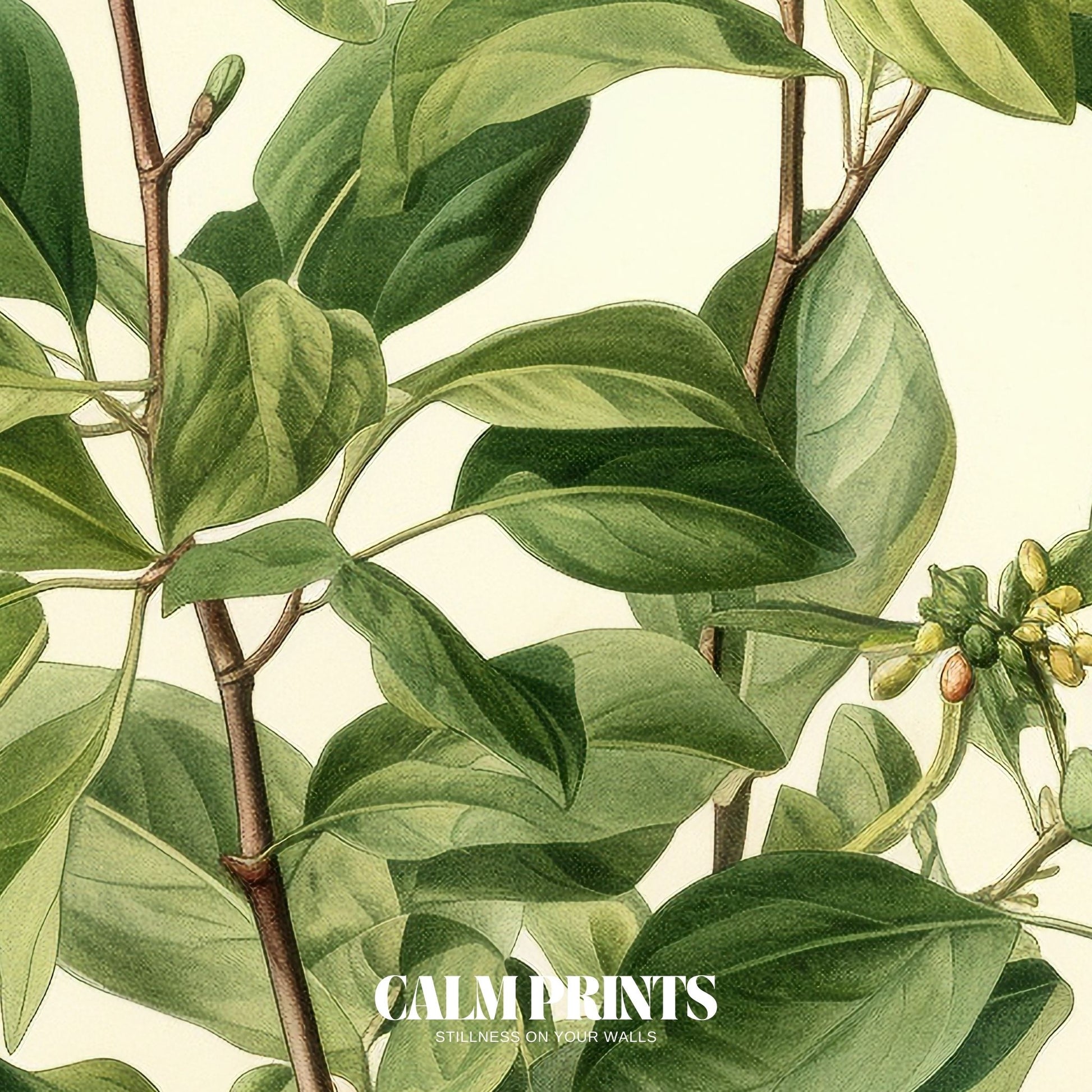 Classic botanical art print with lush leaves and subtle shading
