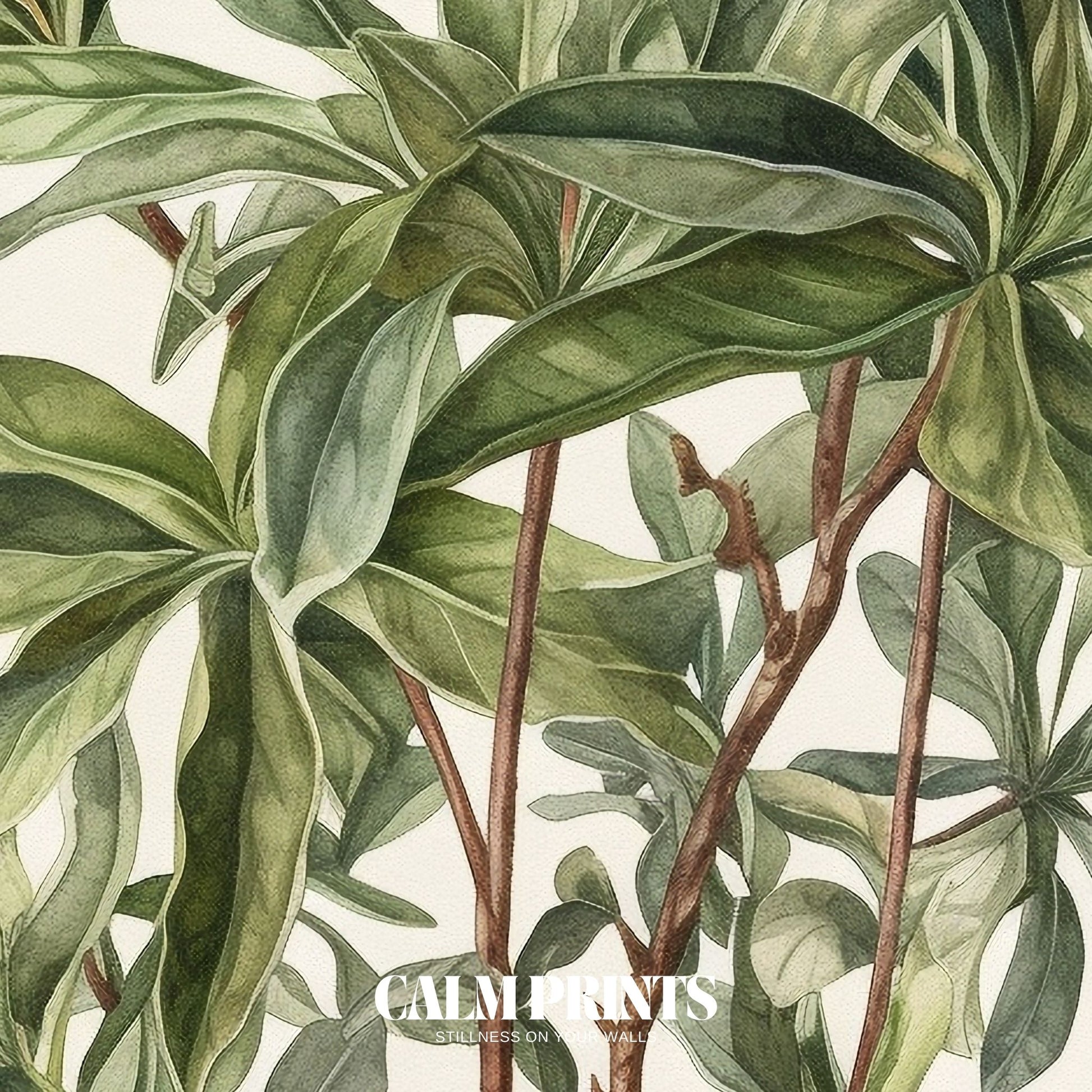 Colourful plant-filled garden brought to life in gentle artistic detail
