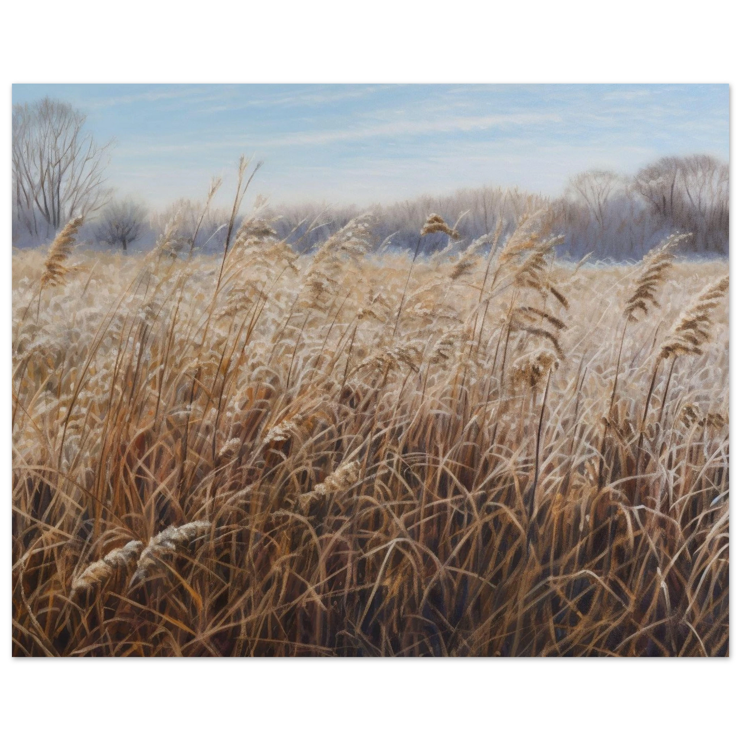 d1cd552c-e6c4-45ea-8f69-3a417b5f13df