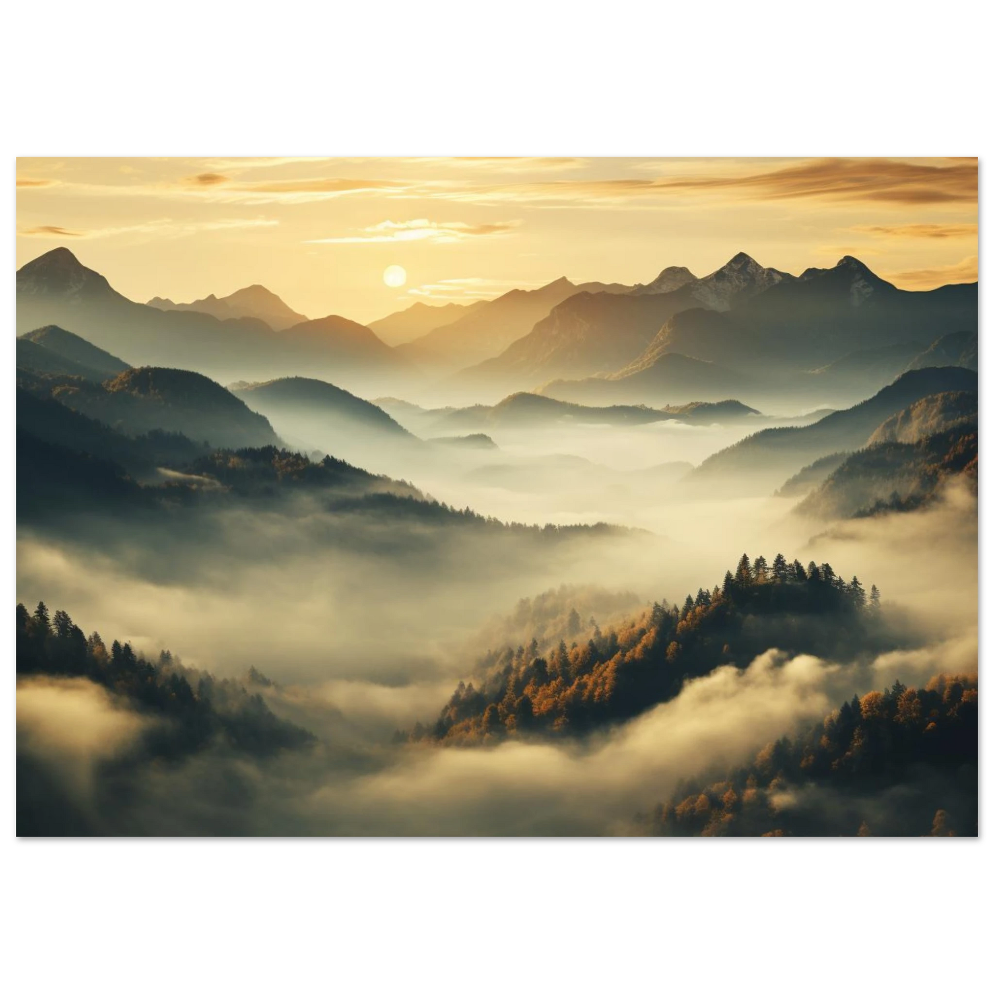 d2c255da-3997-4e65-84c9-58846daffe9b