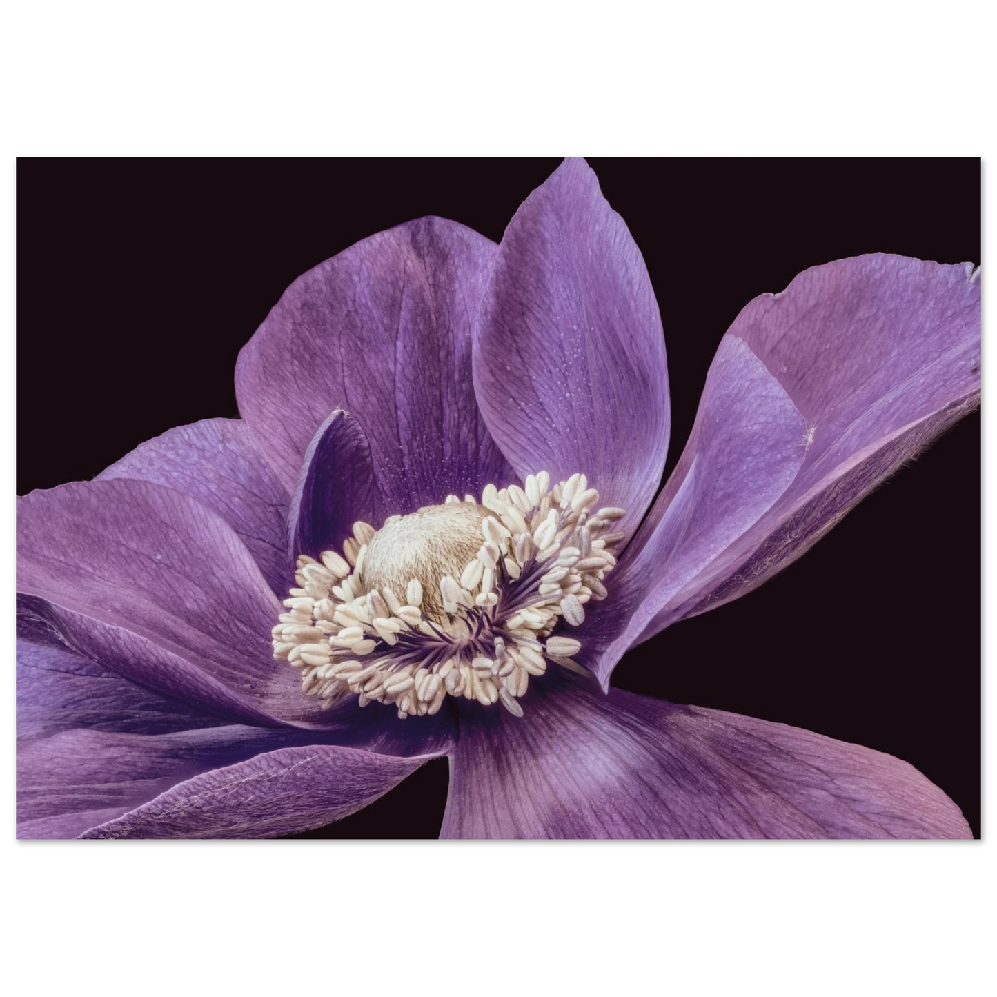 d50606bc-25b0-4741-a1ff-ab6814f87790